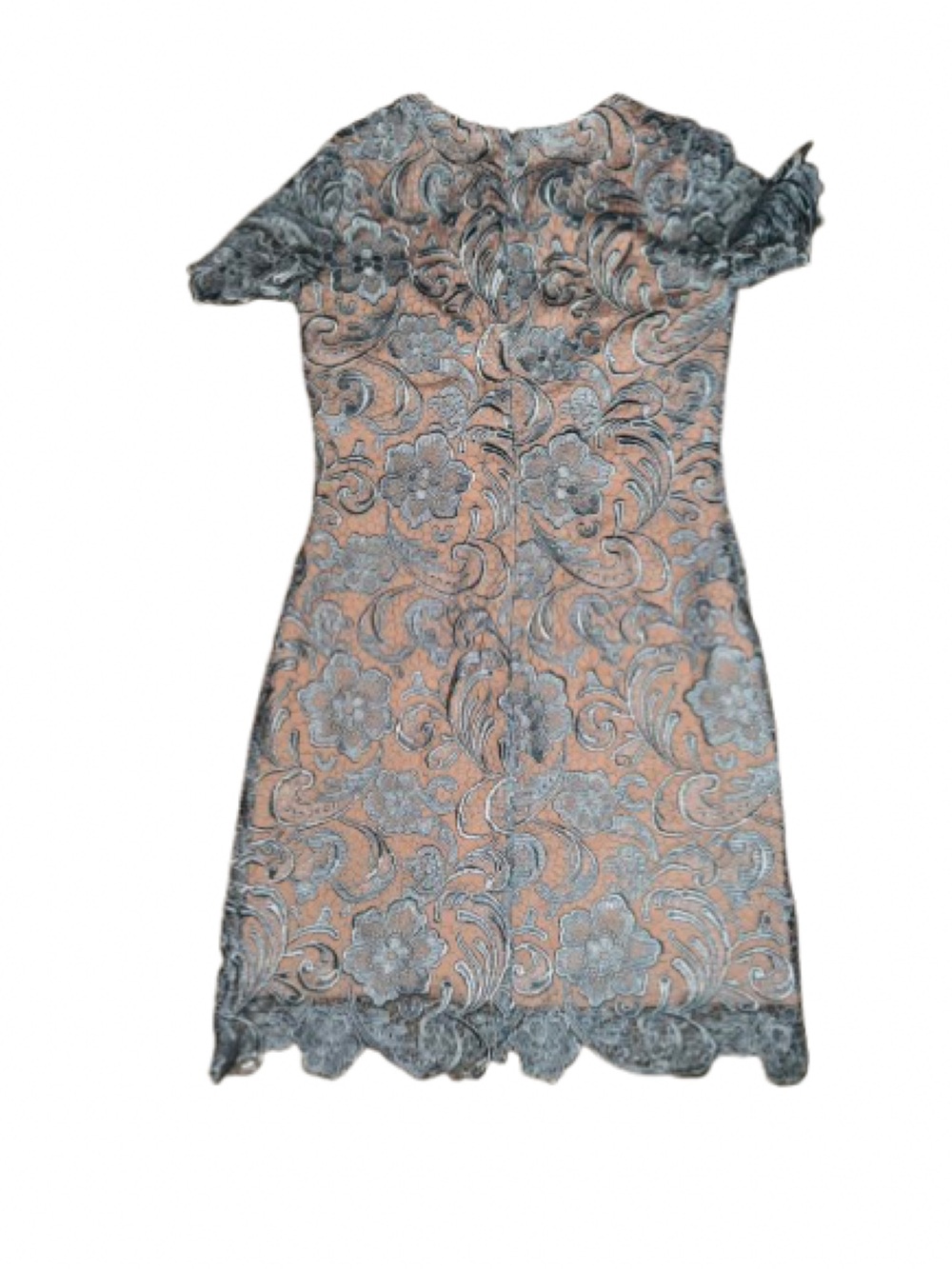 Dress the Population Light Blue Lace Mini Dress with Blush Lining - Picture 3 of 5